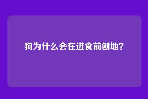 狗为什么会在进食前刨地?