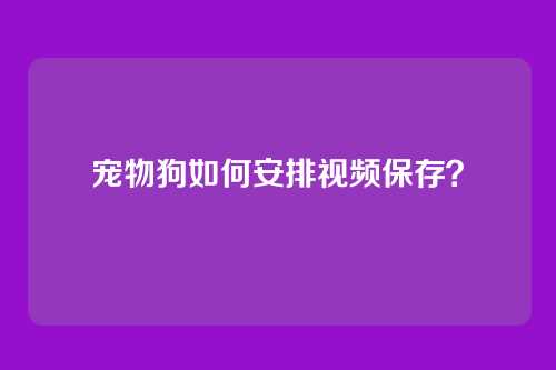 宠物狗如何安排视频保存？