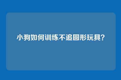 小狗如何训练不追圆形玩具？