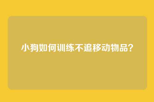 小狗如何训练不追移动物品？