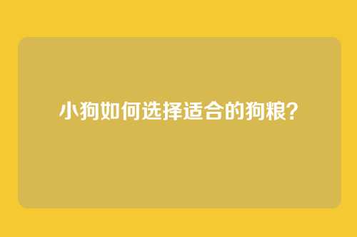 小狗如何选择适合的狗粮?