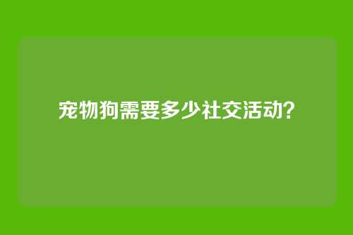 宠物狗需要多少社交活动？