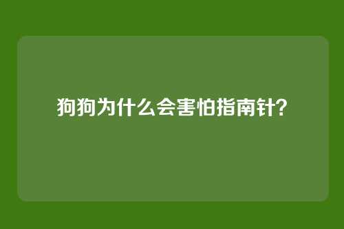 狗狗为什么会害怕指南针？