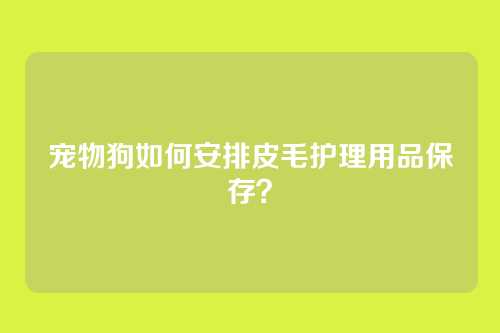 宠物狗如何安排皮毛护理用品保存？