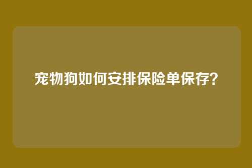 宠物狗如何安排保险单保存？
