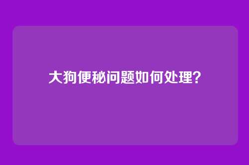大狗便秘问题如何处理？