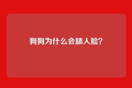 狗狗为什么会舔人脸？