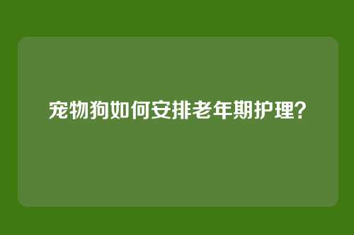 宠物狗如何安排老年期护理?