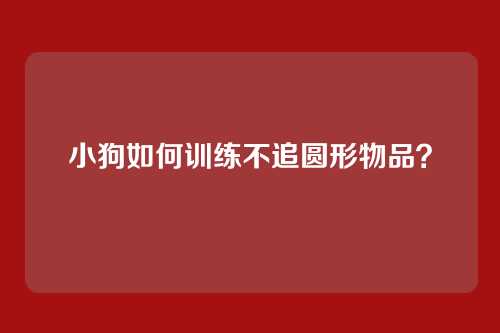 小狗如何训练不追圆形物品？