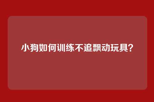 小狗如何训练不追飘动玩具？