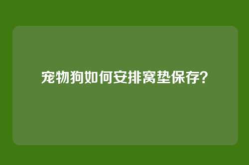 宠物狗如何安排窝垫保存?