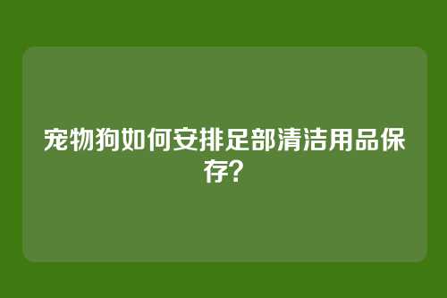 宠物狗如何安排足部清洁用品保存？