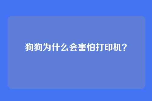 狗狗为什么会害怕打印机？