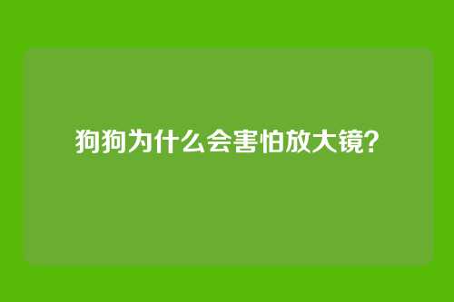 狗狗为什么会害怕放大镜？