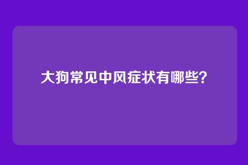 大狗常见中风症状有哪些?