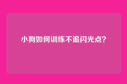 小狗如何训练不追闪光点？