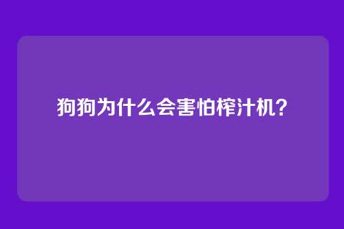 狗狗为什么会害怕榨汁机？