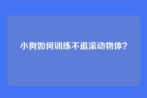 小狗如何训练不追滚动物体？
