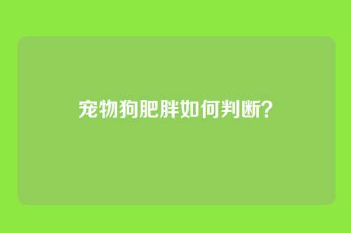 宠物狗肥胖如何判断？