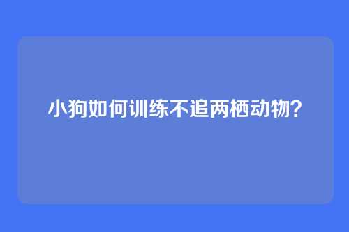 小狗如何训练不追两栖动物?