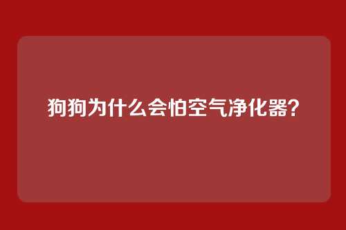 狗狗为什么会怕空气净化器?