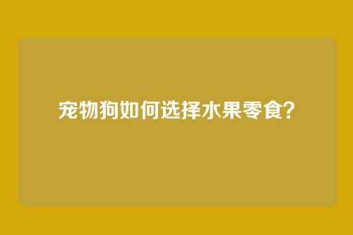 宠物狗如何选择水果零食？