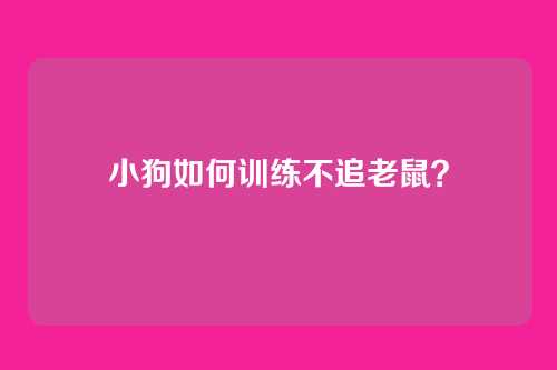 小狗如何训练不追老鼠？