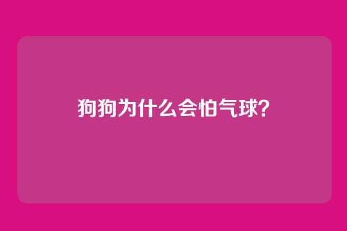 狗狗为什么会怕气球?