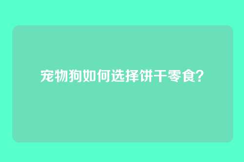 宠物狗如何选择饼干零食？