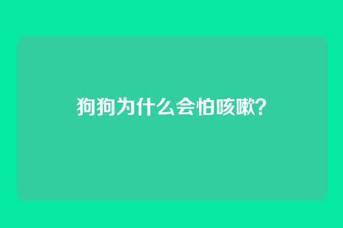 狗狗为什么会怕咳嗽？