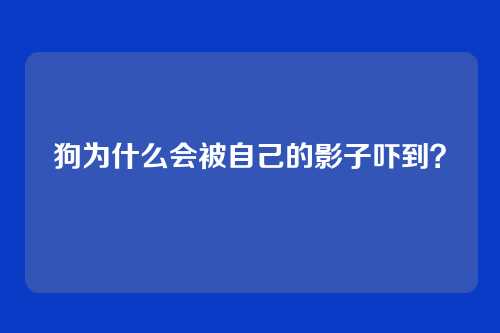 狗为什么会被自己的影子吓到?