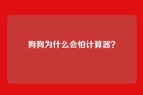 狗狗为什么会怕计算器？