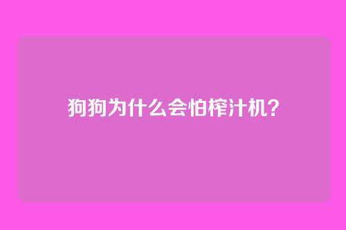 狗狗为什么会怕榨汁机？