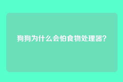 狗狗为什么会怕食物处理器？