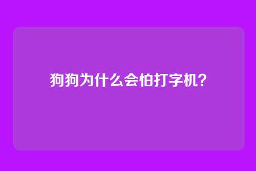 狗狗为什么会怕打字机？