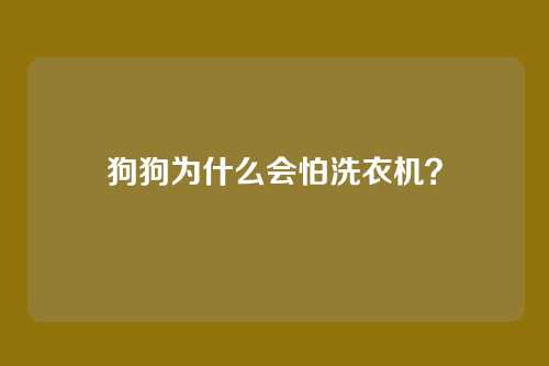 狗狗为什么会怕洗衣机？
