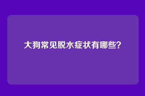 大狗常见脱水症状有哪些？