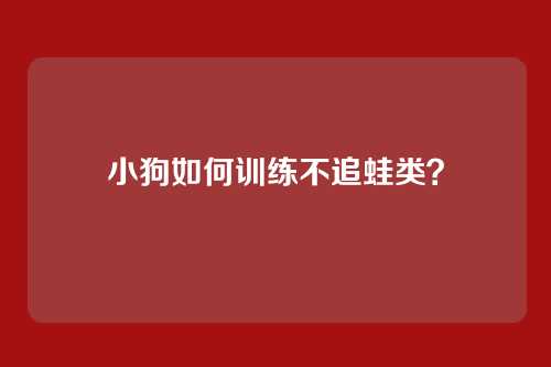 小狗如何训练不追蛙类？