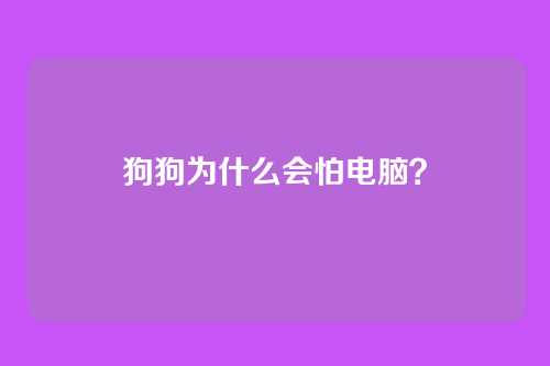 狗狗为什么会怕电脑？