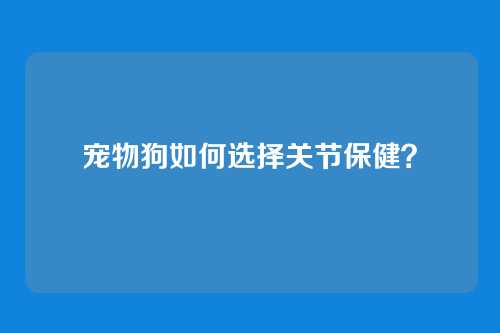 宠物狗如何选择关节保健？