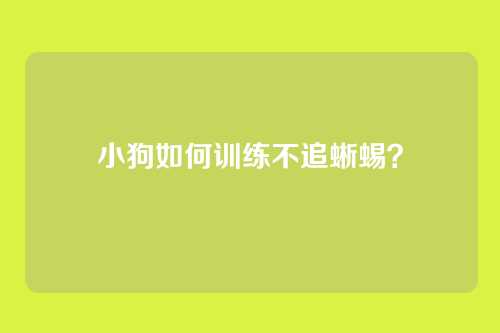 小狗如何训练不追蜥蜴？