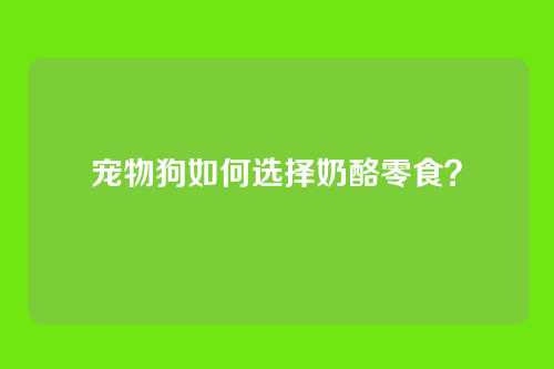 宠物狗如何选择奶酪零食？