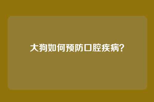 大狗如何预防口腔疾病？
