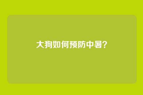 大狗如何预防中暑？