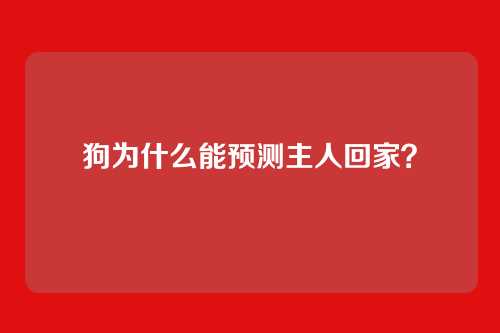 狗为什么能预测主人回家？