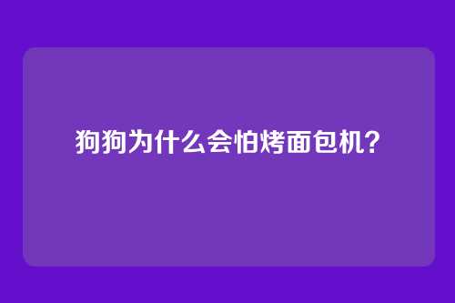 狗狗为什么会怕烤面包机？