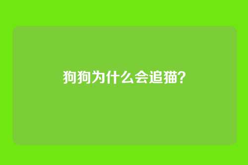 狗狗为什么会追猫？