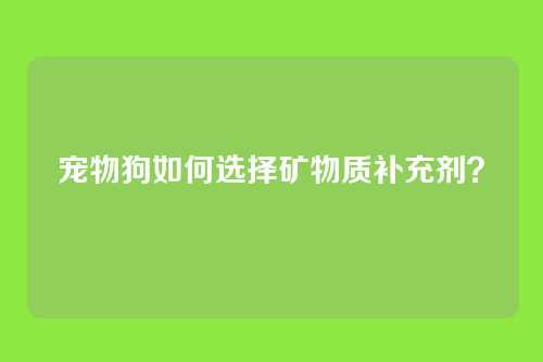 宠物狗如何选择矿物质补充剂？