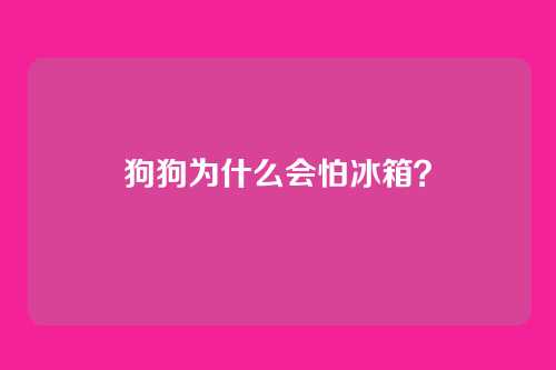 狗狗为什么会怕冰箱？