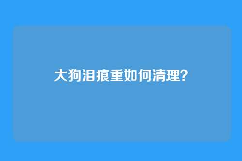 大狗泪痕重如何清理?